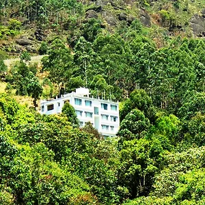 Tea Mount Resort